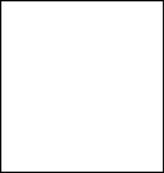 Classic White Button Down Shirt - White